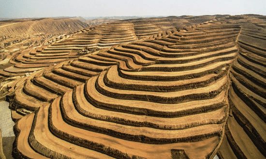 Terracing may not be suitable on these extremely steep slopes